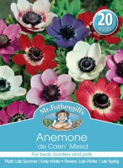 Mr Fothergill's Bulbs Anemone De Cean Mix 20 Bulbs