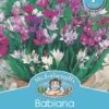 Mr Fothergill's Bulbs Babiana Baboon Flowers