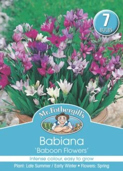 Mr Fothergill's Bulbs Babiana Baboon Flowers