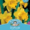Mr Fothergill's Bulbs Daffodil Welcome 4 Bulbs -Plant Care Shop mi03748