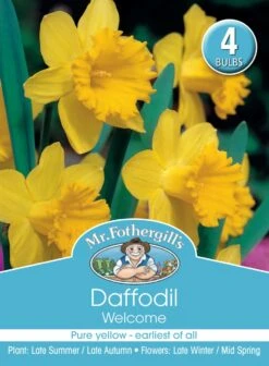 Mr Fothergill's Bulbs Daffodil Welcome 4 Bulbs