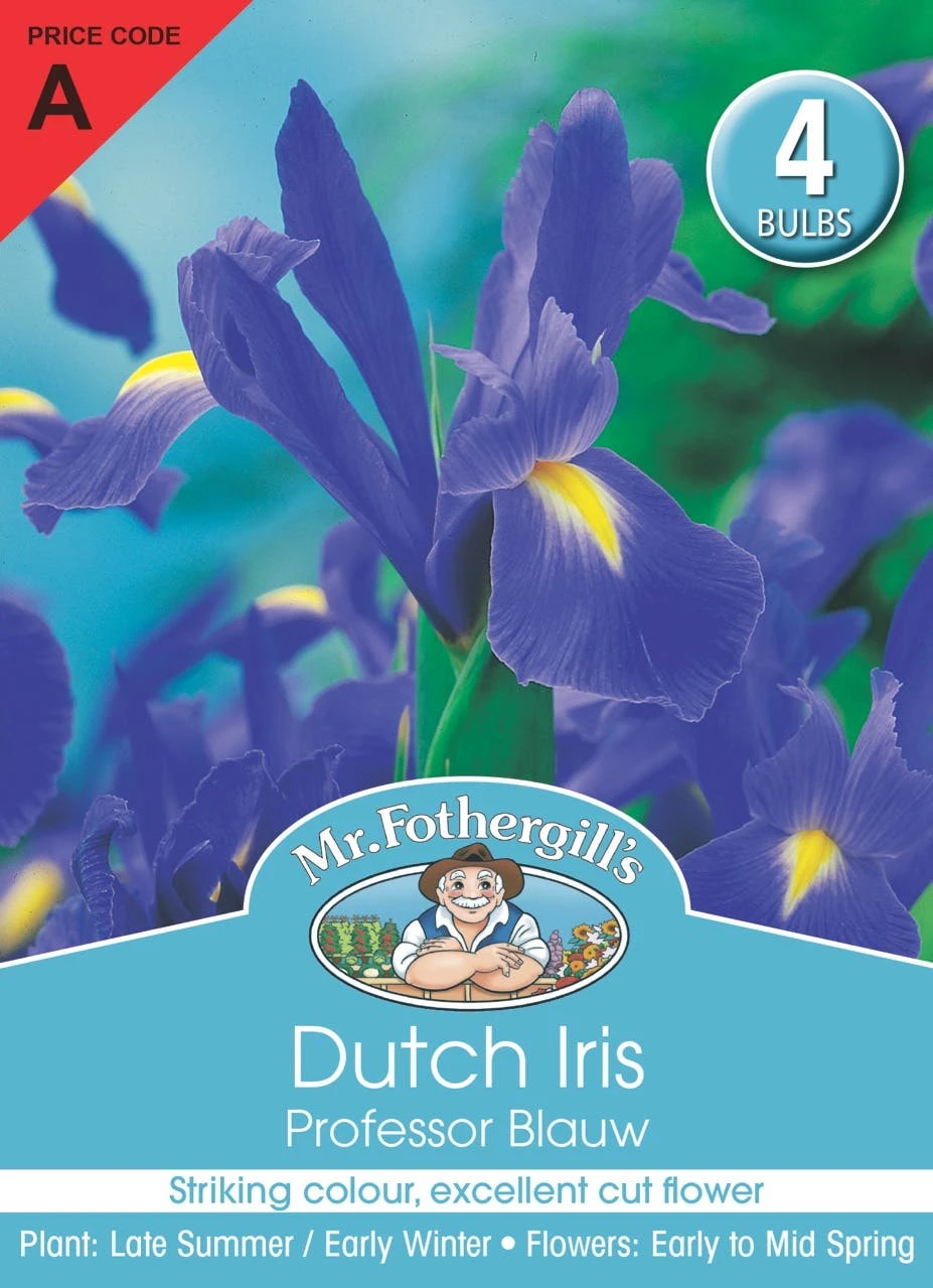 Mr Fothergill's Bulbs Dutch Iris Professor Blauw 4 Bulbs 3 Mr Fothergill's Bulbs Dutch Iris Professor Blauw 4 Bulbs