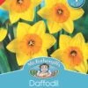 Mr Fothergill's Bulbs Daffodil Fortune 4 Bulbs -Plant Care Shop mj03722