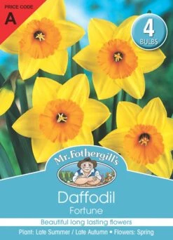 Mr Fothergill's Bulbs Daffodil Fortune 4 Bulbs