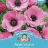 Mr Fothergill's Bulbs Anemone De Cean Pretty Pink 20 Bulbs 1 Mr Fothergill's Bulbs Anemone De Cean Pretty Pink 20 Bulbs -Plant Care Shop mp03389