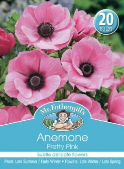 Mr Fothergill's Bulbs Anemone De Cean Pretty Pink 20 Bulbs
