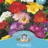 Mr Fothergill's Bulbs Freesia Sweet Scented Mix 12 Bulbs -Plant Care Shop mp03390