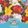 Mr Fothergill's Bulbs Freesia Giant Mixed 10 Bulbs -Plant Care Shop mp03431