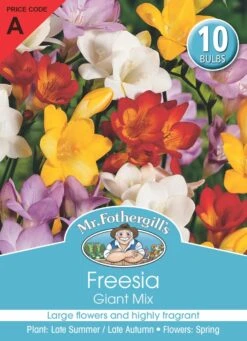 Mr Fothergill's Bulbs Freesia Giant Mixed 10 Bulbs